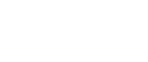 Picture of Magnix Team